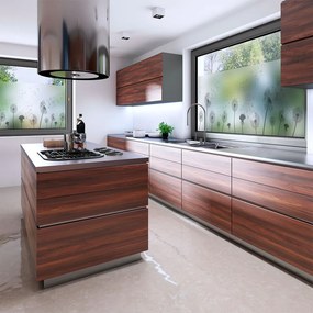 Adesivo per finestre 200x40 cm Dandelions - Ambiance