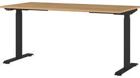 Scrivania regolabile elettricamente con piano effetto rovere 80x160 cm Agenda - Germania