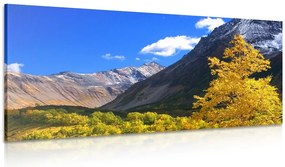Stampa su tela – Natura magnifica in Kamchatka, Russia