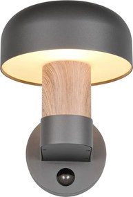 Illuminazione esterna con sensore di movimento da parete (altezza totale 24,5 cm) Fraser – Trio