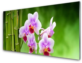 Pannello schienali cucina Fiori Zen Orchidea Di Bambù 100x50 cm