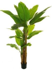 Pianta artificiale in vaso di plastica, hosta H 270 cm, Ø 24 cm