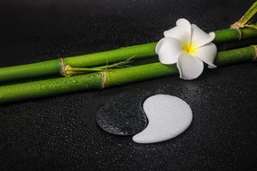 Carta da parati – Natura morta con simbolo Yin e Yang