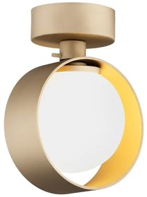 Argon 8567 - Applique da bagno MASSIMO PLUS 1xG9/6W/230V oro