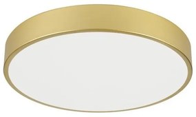 Immax NEO 07292L - LED+CCT dimmerabile plafoniera SEMPLICI 36W/230V Ø 40 cm + telecomando