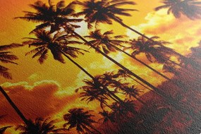 Quadro su tela – Palme di cocco sulla spiaggia