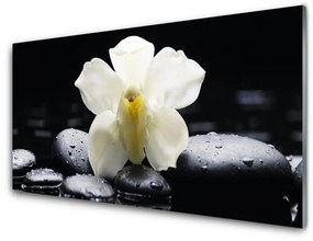 Quadro acrilico Pianta dell'orchidea del fiore 100x50 cm