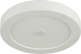 GLOBO 41605-18S - Plafoniera LED da esterno con sensore PAULA LED/18W/230V