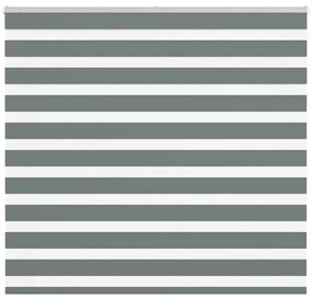 Tenda A Rullo Zebra Larghezza Tessuto 150,9 Cm Poliestere /