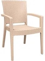 Sedia poltrona in plastica effetto rattan con braccioli color beige