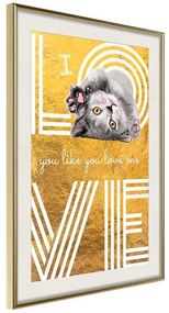 Poster  Cat Love  Cornice Quadri Cornice d'oro con passe-partout, Larghezza x Altezza Home decor 20x30