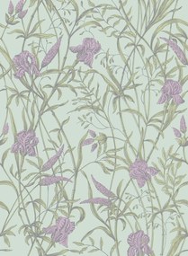 Cole & Son Carta da parati Iris - Lavender on Duck Egg