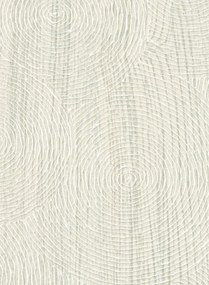 Elitis Tapete Volute - VP 937 01