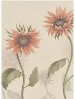 Sandberg Carta da parati panoramica Sunflowers - Peach