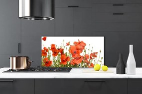 Pannello cucina paraschizzi Natura, papaveri, piante 100x50 cm