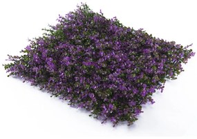 Siepe artificiale Bosso Divy 3D in polietilene, viola H 1 m x L 1 m