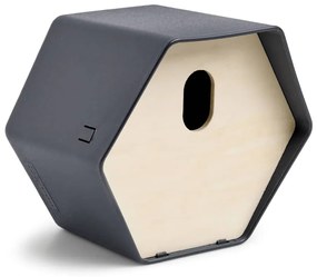 Casetta Per Uccelli Hive 2 19x23x20 Cm Foro Ovale Antracite /