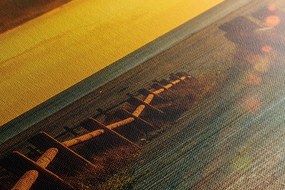 Stampa su tela – Tramonto affascinante