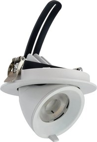 Faro LED da Incasso 15W CCT Orientabile foro Ø100mm con driver Philips Colore Bianco Variabile CCT