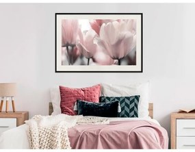 Poster Pastel Tulips II