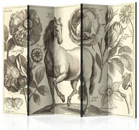 Paravento Horse II [Room Dividers]