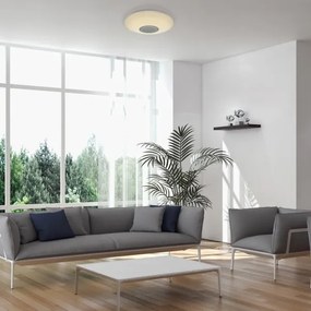 Rabalux 3509 - Plafoniera da soffitto LED RGB dimmerabile RODION LED/24W/230V + telecomando