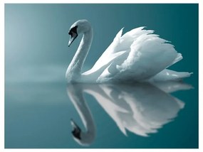 Fotomurale Cigno bianco