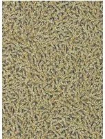 Zoffany Carta da parati Nootka - Antique Gold