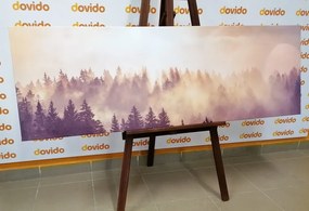 Stampa su tela – Nebbia sopra la foresta