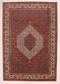 Bidjar Tappeto 310 x 210 (Iran) Annodato A Mano