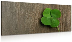 Quadro su tela – Quadrifoglio fortunato
