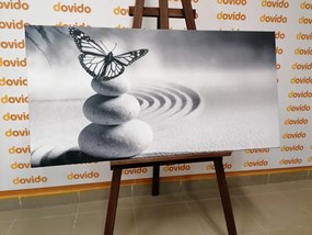 Stampa su tela – Equilibrio di pietre e farfalla in bianco e nero