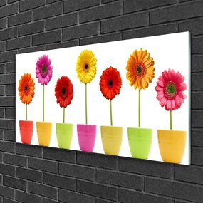 Quadro di vetro Fiori Pianta naturale 100x50 cm