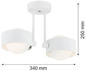 Argon 7088 - Lampadario su palo MASSIMO PLUS 2xG9/6W/230V bianco