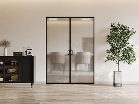 Porta scorrevole doppia con sistema a incasso 2xH205xL73cm  Alluminio e Vetro temperato smerigliato - LINCI II