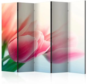Paravento separè Primavera e tulipani II (5 parti) - fiori rosa, sfondo bianco