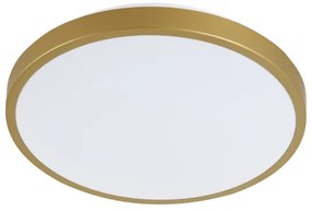 Plafoniera LED KERN LED/24W/230V d. 39 cm