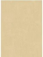 Arte International Carta da parati Tulle - Sand