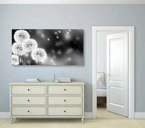 Quadro su tela – Dente di leone soffice in bianco e nero