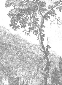 KEK Amsterdam Carta da parati panoramica Engraved Landscapes 1 - BW - Breite 3.896m