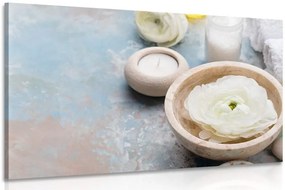 Quadro su tela – Natura morta Spa