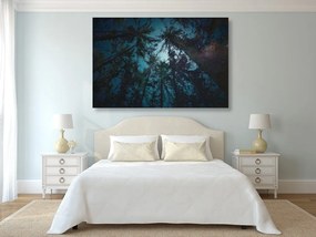 Quadro su tela – Notte nella foresta