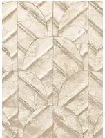 Arte Carta da parati Abalone - Coquille
