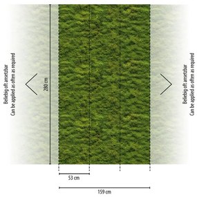 Fotomurale Moss, multicolore