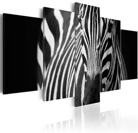 Quadro  Sguardo di zebra  Colore bianco e nero, Dimensioni e Misure 200x100