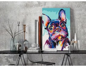 Quadro fai da te  Bulldog Portrait  Larghezza x Altezza Home decor 40x60