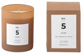 Candela profumata tempo di combustione 50 h No. 5 Sea Salt - ILLUME x Bloomingville
