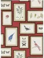 Sanderson Carta da parati Picture Gallery - Red/ Multi