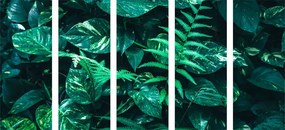Quadri 5 pezzi – Foglie tropicali fresche