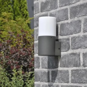 Applique da esterno DALLAS 1xE27/12W/230V IP44 antracite